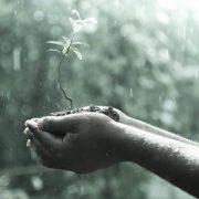 Revelation of the Word: