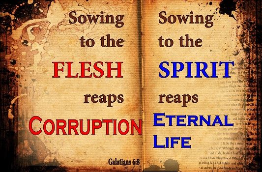 CORRUPTION OF FLESH