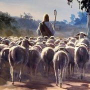 Revelation of the Word: