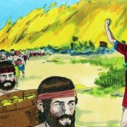 Revelation of the Word