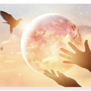Revelation of the Word: