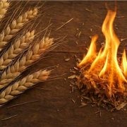 Revelation of the Word: