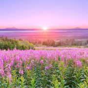 Revelation of the Word: