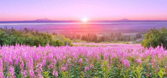 Revelation of the Word: