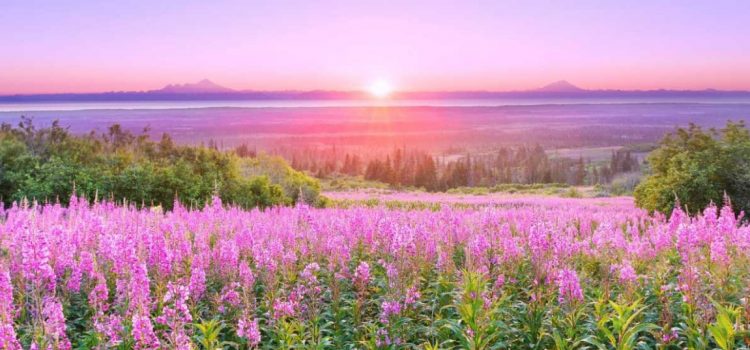 Revelation of the Word: