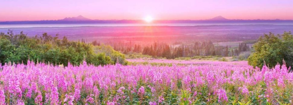 Revelation of the Word:
