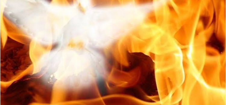 Revelation of the Word: