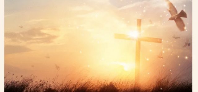 Revelation of the Word: