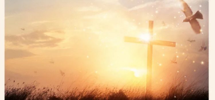 Revelation of the Word: