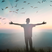 Revelation of the Word:
