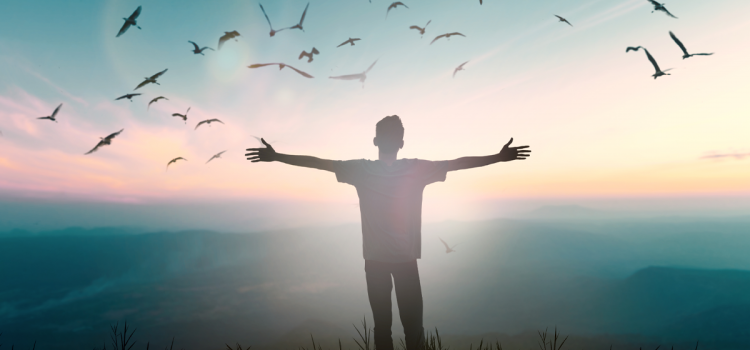 Revelation of the Word: