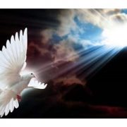 DOVE