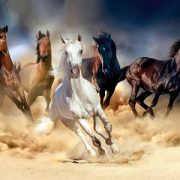 HORSE