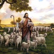 SHEPHERD