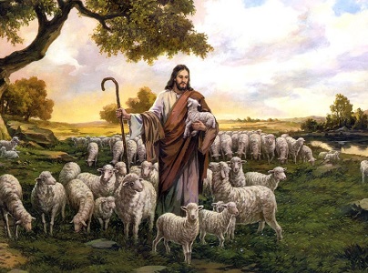 SHEPHERD