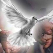 Revelation of the Word: