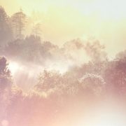 Revelation of the Word: