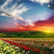 Revelation of the Word: