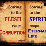 CORRUPTION OF FLESH