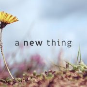 A NEW THING