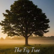 THE FIG TREE