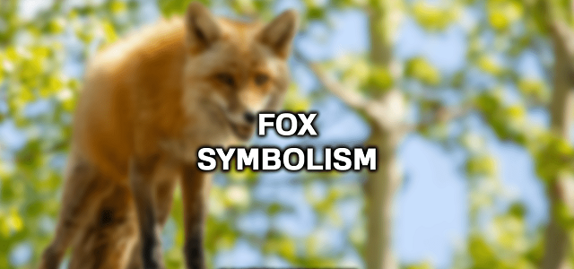 ANALOGY OF FOXES