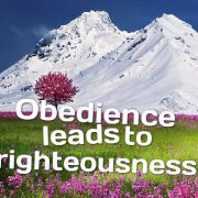RIGHTEOUSNESS AMIDST WICKEDNESS  