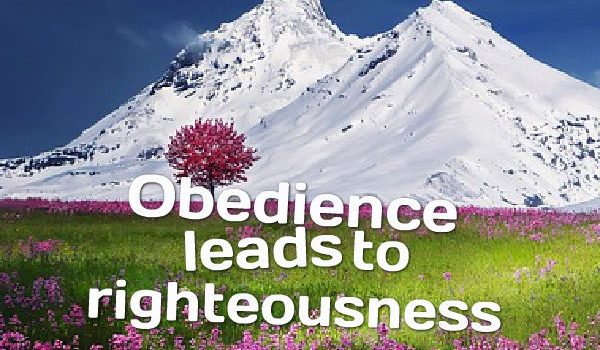 RIGHTEOUSNESS AMIDST WICKEDNESS  