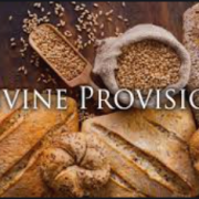 DIVINE PROVISION