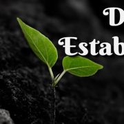DIVINE ESTASHMENT