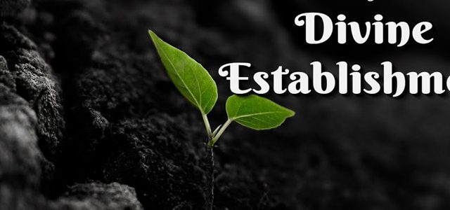 DIVINE ESTASHMENT