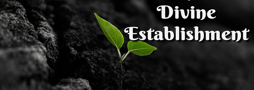 DIVINE ESTASHMENT