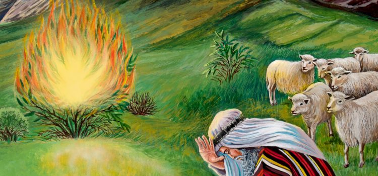 Revelation of the Word: