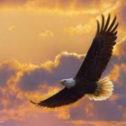 Revelation of the Word: