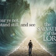Revelation of the Word: