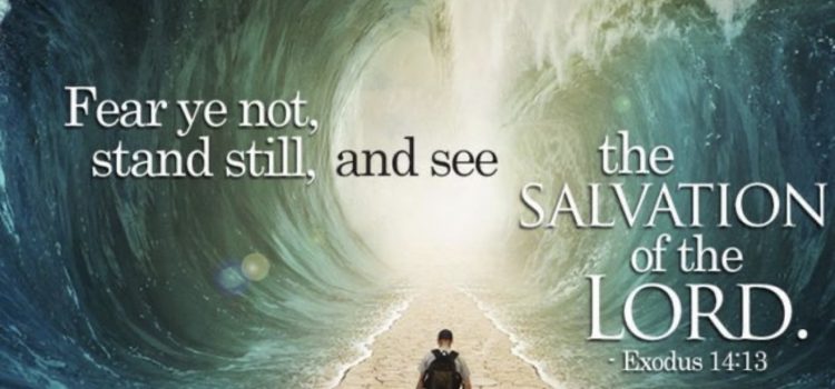 Revelation of the Word: