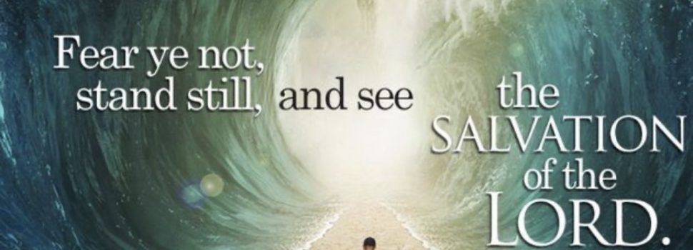 Revelation of the Word: