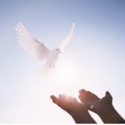 Revelation of the Word: