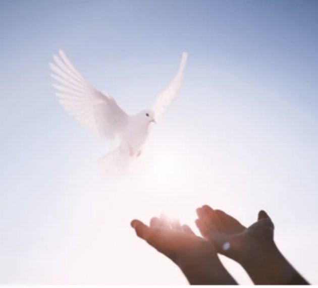 Revelation of the Word: