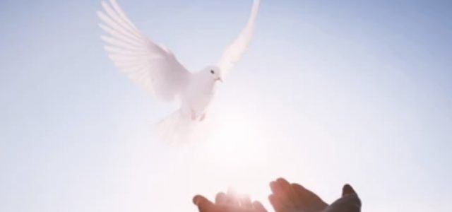 Revelation of the Word: