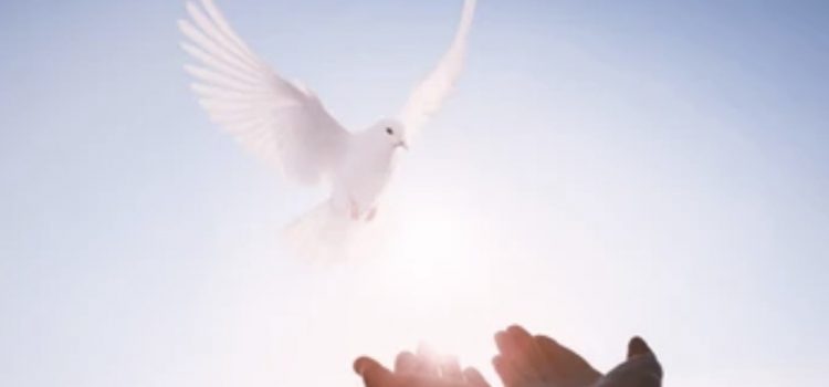 Revelation of the Word: