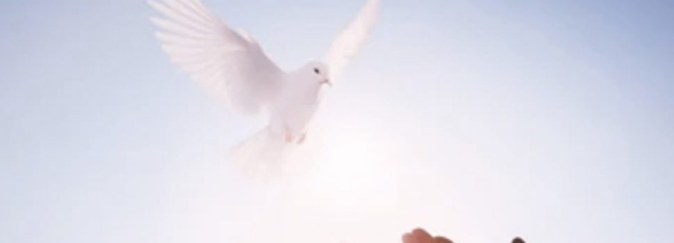 Revelation of the Word: